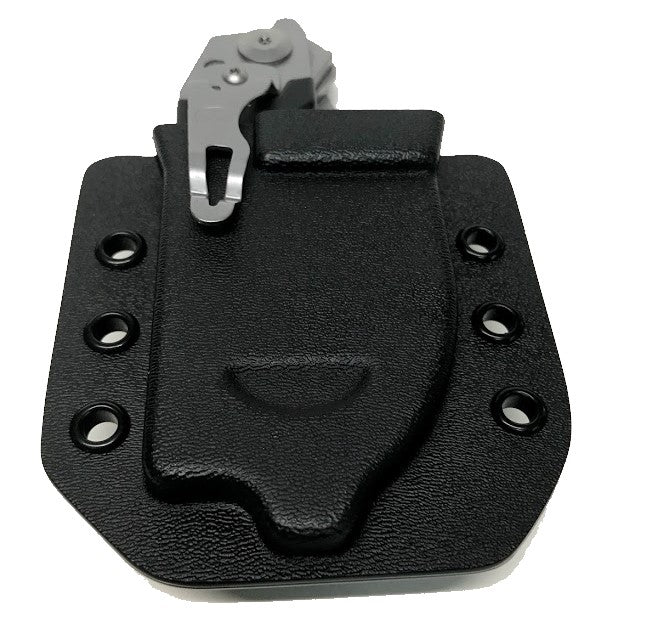 Raptor Holster