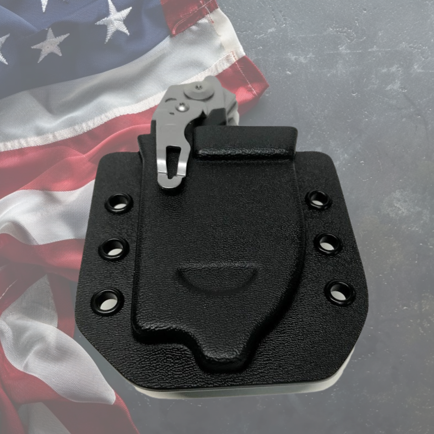 Raptor Holster