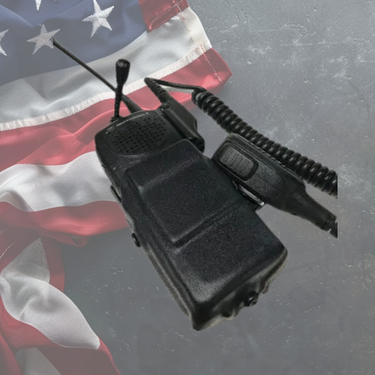 Radio Holster